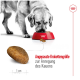 Ein Golden Retriever frisst Trockenfutter aus einer roten Schüssel, mit einem Stück Trockenfutter und einem Lineal zur Größenbestimmung. Text: "Krokettengröße zur Anregung des Kauens."
