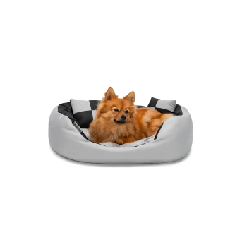 Ein flauschiger orangefarbener Pomeranian-Hund, der in einem gemütlichen grauen und schwarzen Haustierbett entspannt.