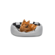 Ein flauschiger orangefarbener Pomeranian-Hund, der in einem gemütlichen grauen und schwarzen Haustierbett entspannt.