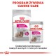 Opakowanie karmy dla psów Royal Canin Exigent, z torbą suchej karmy oznaczoną "MINI" i saszetką mokrej karmy, obie promujące wybrednych zjadaczy.
