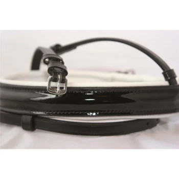 Ein glänzender schwarzer Haustierhalsband mit einer silbernen Schnalle, flach auf einem weißen Hintergrund ausgelegt.