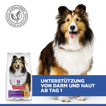 Sheltie-Hund neben Hill's Science Plan Sensitive Stomach & Skin Hundefutterbeutel mit dem Text "Unterstützung von Darm und Haut ab Tag 1".