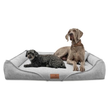 Zwei Hunde, ein kleiner schwarzer Lockenhund und ein großer grauer Weimaraner, liegen zusammen auf einem plüschigen grauen Hundebett.