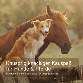 Ein Pferd und ein Hund spielen in der Sonne, mit Text: "Knusprig knackiger Kauspaß für Hunde & Pferde" und "Crunchy treats for dogs & horses."