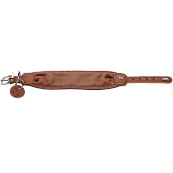 Braunes gepolstertes Lederhalsband mit Metallschnalle, D-Ring und rundem Lederanhänger; kleiner Metallmarkenanhänger sichtbar.