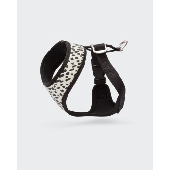 Mesh Hundegeschirr 2.0 XS