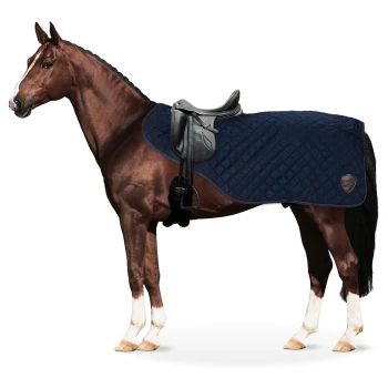 Ein braunes Pferd steht seitlich, trägt eine marineblaue gepolsterte Satteldecke und einen schwarzen Sattel, und zeigt sein glattes Fell und seine geflochtene Mähne.