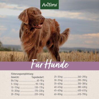 Ein brauner Hund auf einem Feld unter einem bewölkten Himmel, mit dem Text "AniForte" und "Für Hunde", plus einer Fütterungstabelle für Hundew weights.