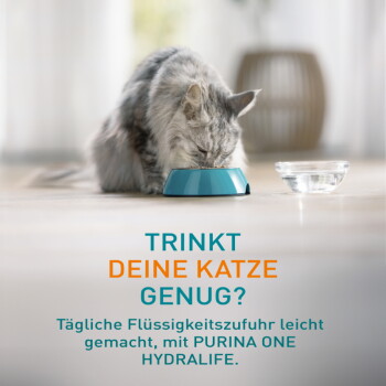 Graue Katze trinkt aus einer türkisfarbenen Schüssel neben einem Glasschälchen; deutscher Text 'TRINKT DEINE KATZE GENUG? PURINA ONE HYDRALIFE.'