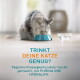 Graue Katze trinkt aus einer türkisfarbenen Schüssel neben einem Glasschälchen; deutscher Text 'TRINKT DEINE KATZE GENUG? PURINA ONE HYDRALIFE.'