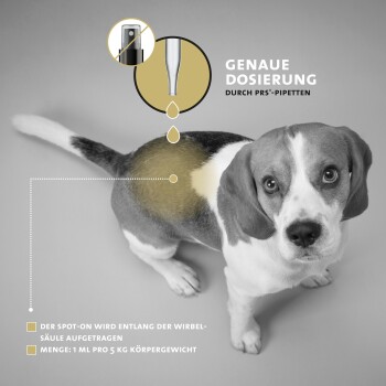 Eine Seitenansicht eines Beagles mit einem Tropfen Flüssigkeit auf dem Rücken. Der Text lautet "GENAUE DOSIERUNG DURCH PRS-PIPETTEN" und Dosieranweisungen.