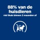 Tekst op een blauwe achtergrond: '88% van de huisdieren viel thuis binnen 2 maanden af' met een pictogram van een kat en een meetlint.