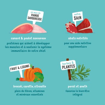 Image des ingrédients de nourriture pour animaux : canard, poulet, abats, fruits, légumes et herbes, avec un texte sur leurs bienfaits pour la santé des chiots.