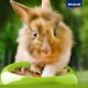 Vitakraft Premium Menü Vital Zwergkaninchen 3x5 kg