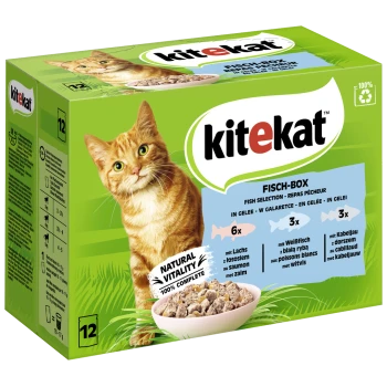 Kitekat Fisch-Box Katzenfutterverpackung mit einer orangefarbenen Katze, die 6 Portionen Lachs und 3 Portionen weiße Fische in Gelee enthält.