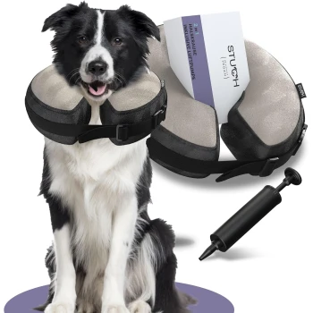 Ein glücklicher Border Collie in einem weichen, aufblasbaren Halskragen neben einer Handpumpe und einer Verpackung, die mit "2 IN 1 HALSKRAUSE" beschriftet ist.