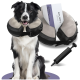 Ein glücklicher Border Collie in einem weichen, aufblasbaren Halskragen neben einer Handpumpe und einer Verpackung, die mit "2 IN 1 HALSKRAUSE" beschriftet ist.