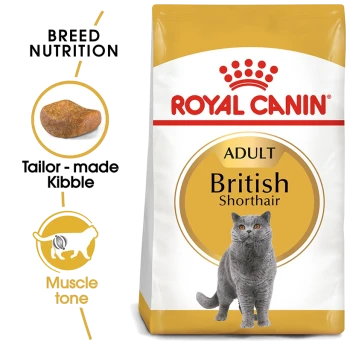 Royal Canin Adult British Shorthair cat food bag featuring a gray British Shorthair cat, with text highlighting breed nutrition and tailored kibble.