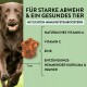 Beauty–Set für Hunde - 5–teiliges Haut– und Fellpflegeprogramm für sensible Reinigung