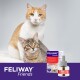 Zwei Katzen sitzen auf einer weichen Oberfläche neben einem prominent platzierten Feliway Friends-Produkt, gekennzeichnet mit "Happy Cats."