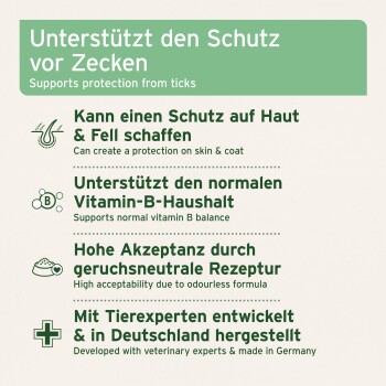 Ein brauner Hund steht auf einem Feld, mit Textüberlagerung: 'Für Hunde' und Anweisungen zur Dosierung und Verabreichung eines Supplements.