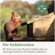Ein rotes Eichhörnchen, das eine Walnuss hält, mit einem verschwommenen Waldhintergrund. Der Text lautet 'GUT ZU WISSEN! Walnüsse, Haselnüsse und Eicheln...'