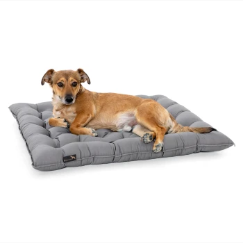 Ein brauner Hund, der auf einem plüschigen grauen Haustierbett mit gepolstertem Design entspannt, vor einem weißen Hintergrund.