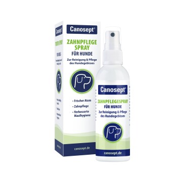 Spray de soins dentaires 100 ml