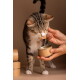 Getigerte Katze frisst Nassfutter aus der Hand einer Person, darunter geöffnete Kraftdose, links gestapelte Dosen, brauner Hintergrund.