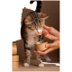 Getigerte Katze frisst Nassfutter aus der Hand einer Person, darunter geöffnete Kraftdose, links gestapelte Dosen, brauner Hintergrund.