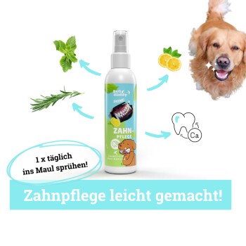 Hundezahnpflegesprayflasche mit Illustrationen von Minze, Rosmarin und Zitrone. Der Text lautet "Zahnpflege leicht gemacht!" und "1 x täglich ins Maul sprühen!"