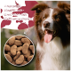 Ein Hund mit einem braunen Halsband frisst knusprige Rindfleisch-Kroketten aus einer Edelstahlschüssel. Text lautet "Knusprige Rindfleisch-Kroketten."