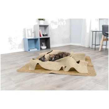 Zwei Kätzchen spielen auf einer zerknitterten beigen Kratzmatte auf hellem Holzboden in einem modernen Wohnzimmer