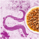 Nassfutterschüssel auf violettem Hintergrund mit deutscher Überschrift 'Unser perfektes Versprechen' und Angaben zu Inhaltsstoffen