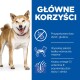 Uśmiechnięty Shiba Inu stoi obok niebieskiego panelu podkreślającego korzyści: bezglutenowe, wysokobiałkowe, omega-3 i witamina E dla zdrowia skóry.