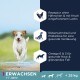 Ein glücklicher Hund läuft durch Wasser neben einem Text über ein rezeptfreies Rezept mit gefrorenem Lachs, das eine gesunde Verdauung und ein glänzendes Fell fördert.