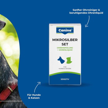 Canina Mikrosilber-Set Ohrspülung & Ohrenflüssigkeit, Sensitiv, für Hunde & Katzen vor blauem Hintergrund mit teilweise sichtbarem Hund.