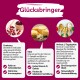 BugBell BugTerrine Adult 100 g Cranberry und Käse