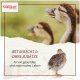 Braunes Huhn mit Nahaufnahme von Körnerfutter mit der Aufschrift „Braugerste“, energiereiches Futter für Hühner und Tauben auf Deutsch.