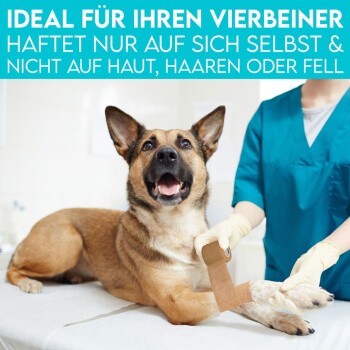 Ein glücklicher Hund mit einem bandagierten Pfoten liegt auf einem Tisch, während eine Person in blauen Scrubs den Verband anlegt. Der Text darüber lautet: "IDEAL FÜR IHREN VIERBEINER..."