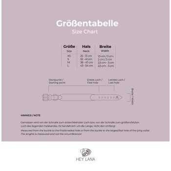 Größentabelle für Haustierhalsbänder, die die Größen XS bis L mit Hals- und Breitenmaßen in Zentimetern sowie Anweisungen zum Messen detailliert.
