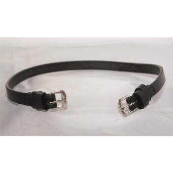 Schwarzes Leder-Haustierhalsband mit silbernen Schnallen, flach auf einem hellen Hintergrund ausgelegt.