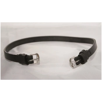 Schwarzes Leder-Haustierhalsband mit silbernen Schnallen, flach auf einem hellen Hintergrund ausgelegt.