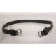 Schwarzes Leder-Haustierhalsband mit silbernen Schnallen, flach auf einem hellen Hintergrund ausgelegt.