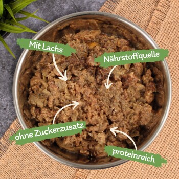 Edelstahl-Schüssel mit Tiernahrung beschriftet: "Mit Lachs," "Nährstoffquelle," "ohne Zuckerzusatz," "proteinreich."