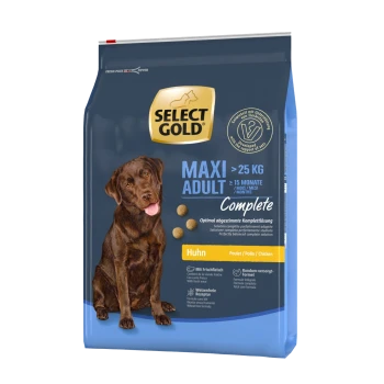 Hundefutterbeutel mit einem braunen Labrador Retriever, beschriftet mit "SELECT GOLD MAXI ADULT Complete", geeignet für Hunde über 25 kg und 15 Monate alt.