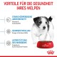 Welpe neben einer roten Schüssel mit Royal Canin Hundefutter, das Vorteile betont: Immununterstützung, Gehirnentwicklung und Mikrobiomgesundheit.