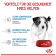 Welpe neben einer roten Schüssel mit Royal Canin Hundefutter, das Vorteile betont: Immununterstützung, Gehirnentwicklung und Mikrobiomgesundheit.