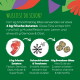 Grüne Tierfutter-Infografik: Fleisch, -40° Schneeflocke, Trockenfutter-Icons und deutscher Text 'WUSSTEST DU SCHON? 6 kg frische Zutaten'