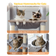 Zwei Katzen entspannen sich in einer großen Hängematte, mit Text über "Verschiedene Hängematten für Katzen" und Funktionen wie "Korbschlafplatz" und "Hängende Hängematte."